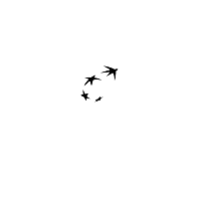 BNP PARIBAS